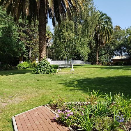 Lodge Mirador Chillán Dış mekan fotoğraf