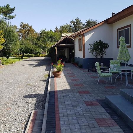 Lodge Mirador Chillán Dış mekan fotoğraf