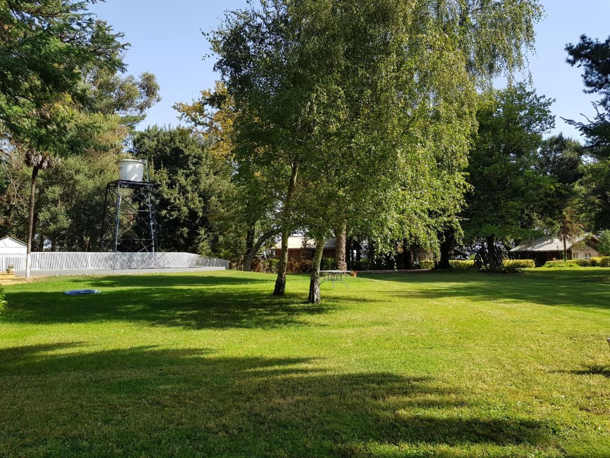 Lodge Mirador Chillán Dış mekan fotoğraf