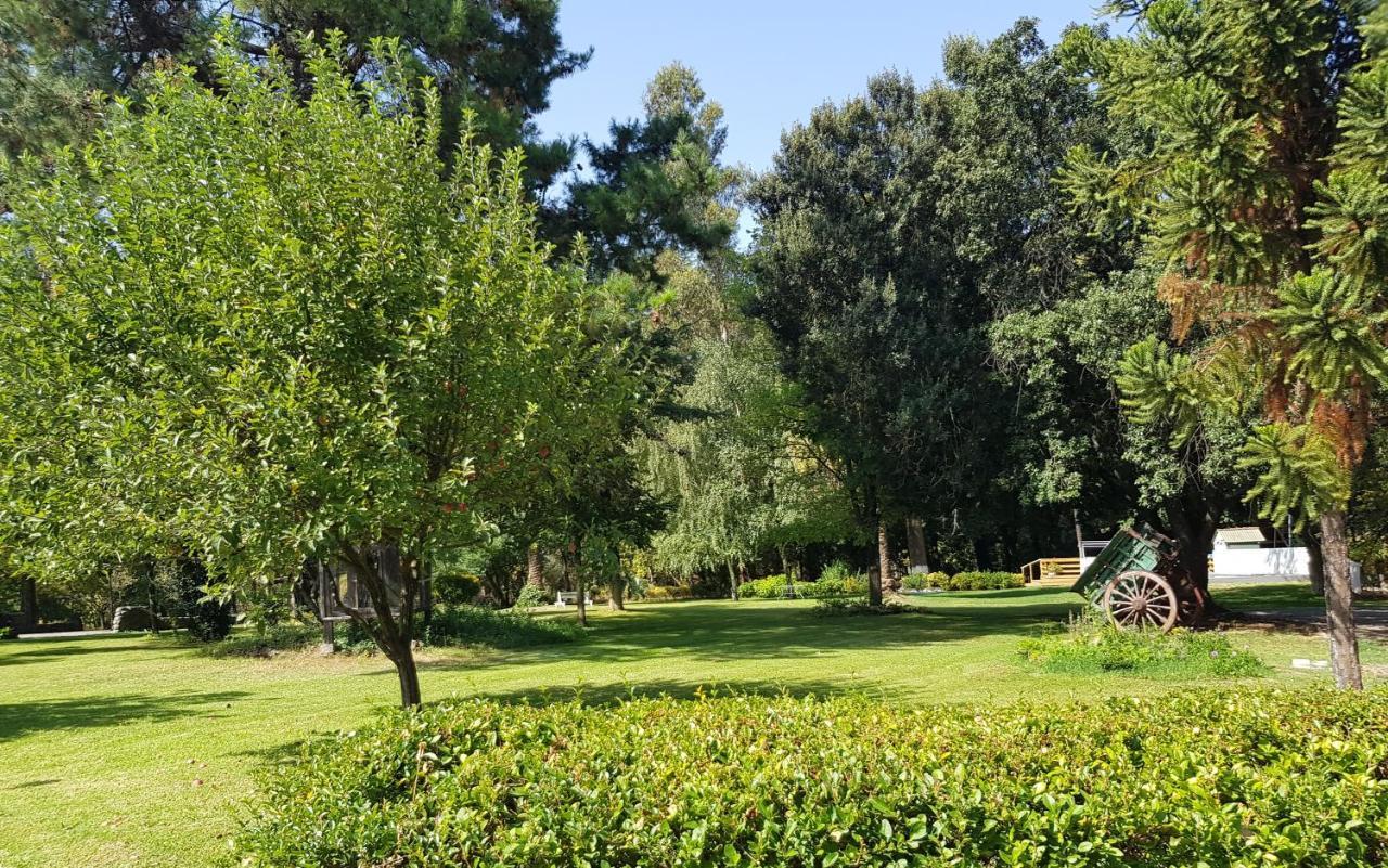 Lodge Mirador Chillán Dış mekan fotoğraf
