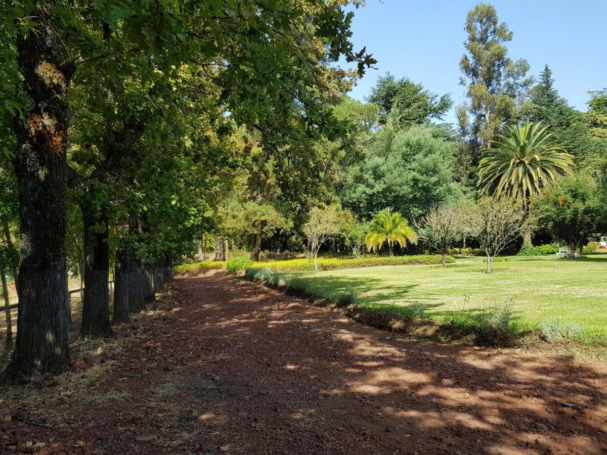 Lodge Mirador Chillán Dış mekan fotoğraf