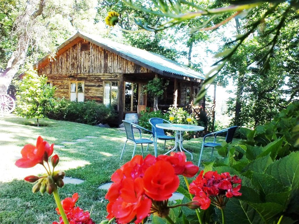Lodge Mirador Chillán Dış mekan fotoğraf